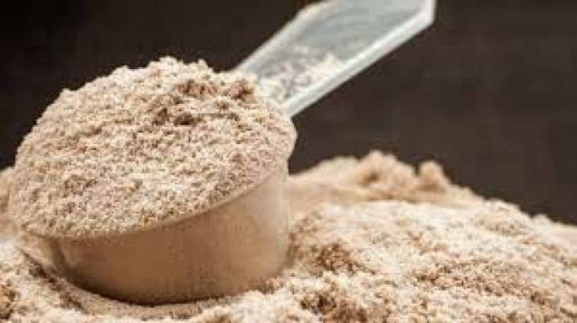 Pharma Company for Protein Powder 1