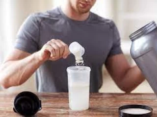 Protein Powder Range Franchise Companies