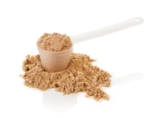 Top Pharmaceutical Company for Protein Powder