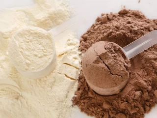 Protein Powder Franchise Business