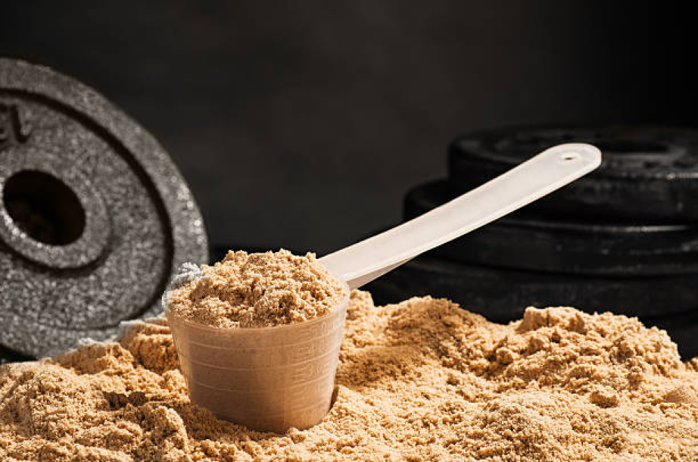 Best Protein Powder Suppliers