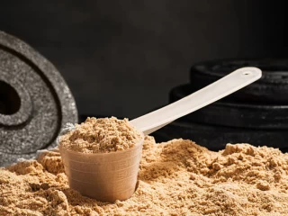 Best Protein Powder Suppliers