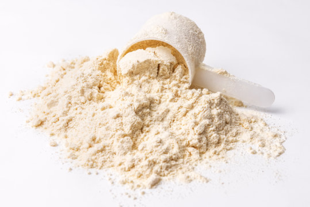 Top Protein Powder Franchise Company