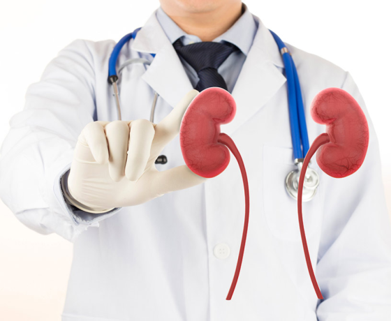 Pharma Franchise for Nephrology products 1